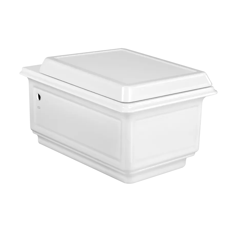 Подвесной керамический унитаз (6 л), в комплекте сиденье, сифон встроен. Петли плавного закрывания и пробки для боковых отверстий в отделке 031