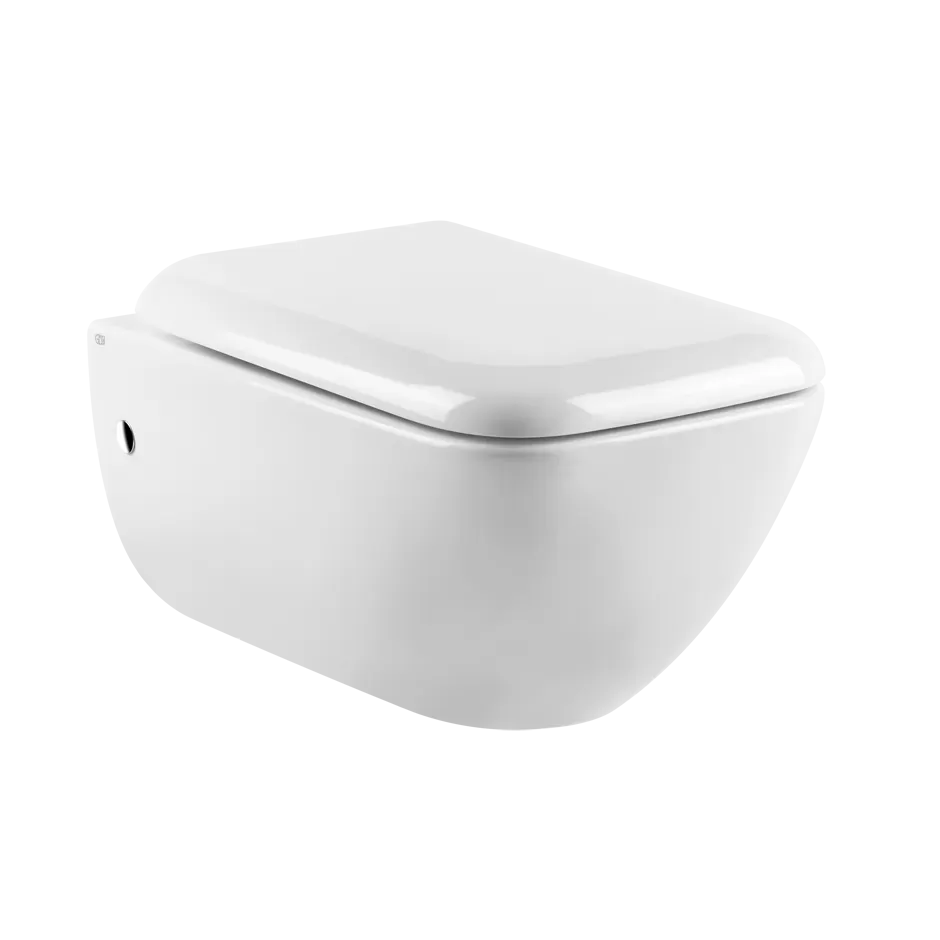 Подвесной керамический унитаз (6 л), в комплекте сиденье, сифон встроен. Петли плавного закрывания и пробки для боковых отверстий не входит.