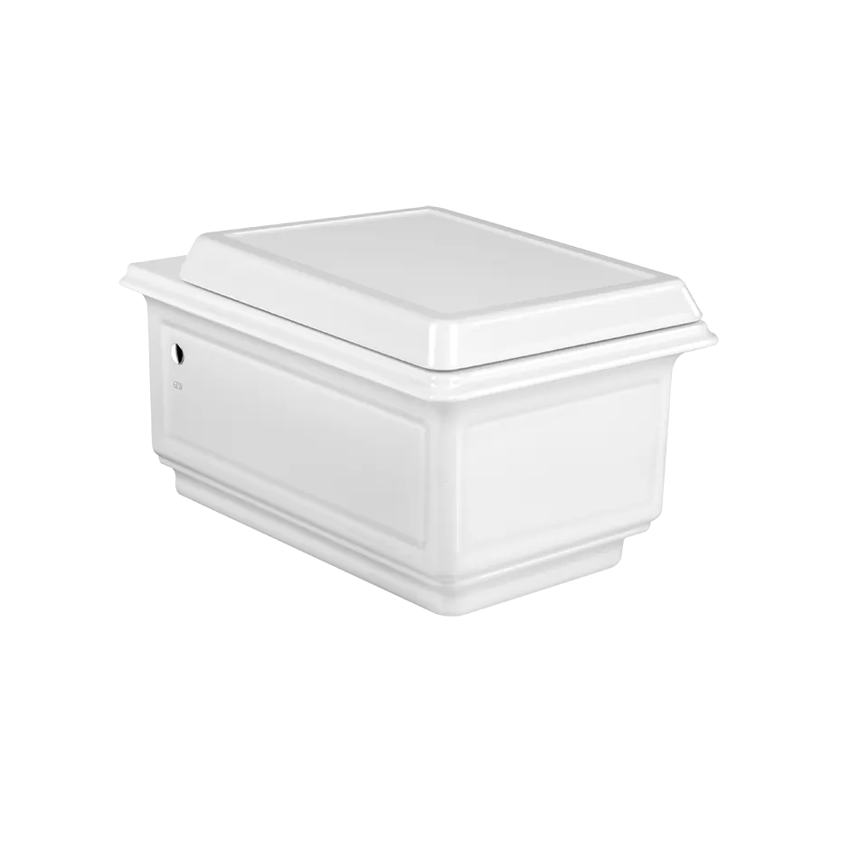 Подвесной керамический унитаз (6 л), в комплекте сиденье, сифон встроен. Петли плавного закрывания и пробки для боковых отверстий в отделке 031