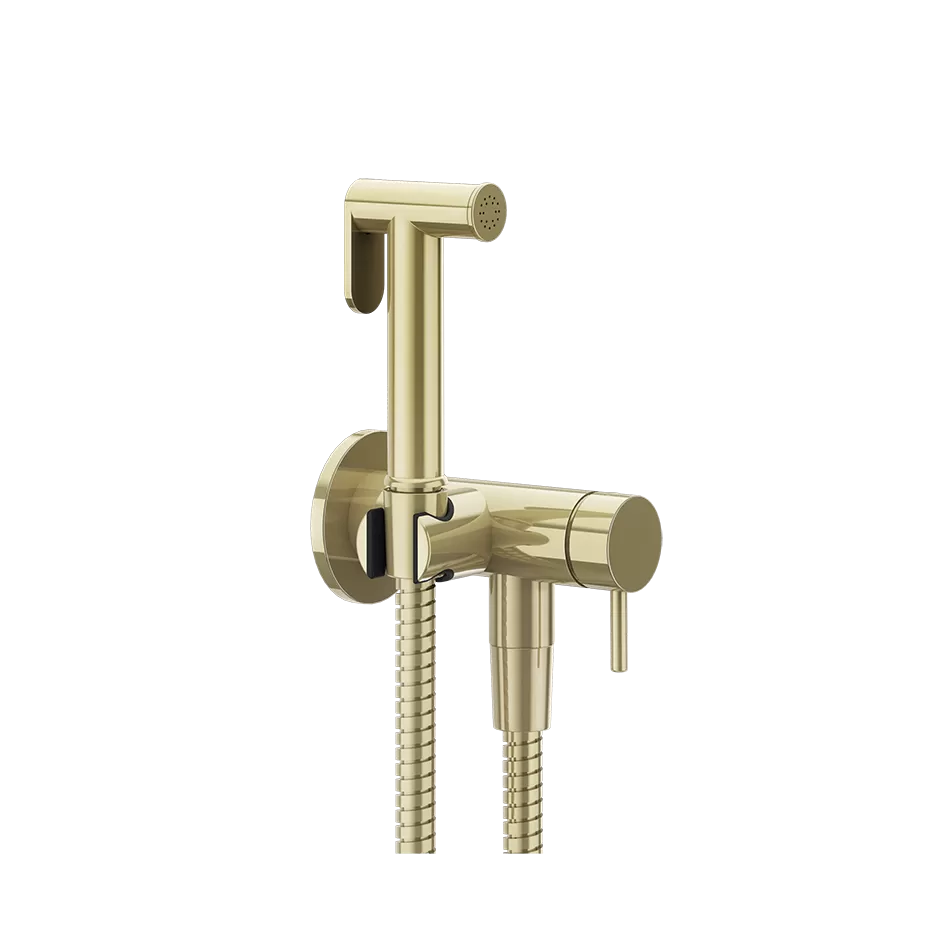 Гигиенический душ комплект со смесителем GESSI316 FLESSA 710 Brass PVD GESSI