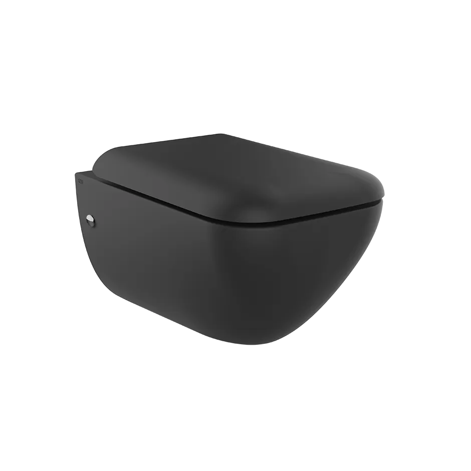 Подвесной керамический унитаз (6 л), в комплекте сиденье, сифон встроен. Петли плавного закрывания и пробки для боковых отверстий не входит.