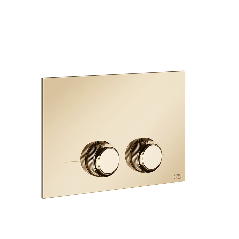 Кнопка смыва для инсталляции geberit omega 13 VENTI20 735 Antique Brass GESSI